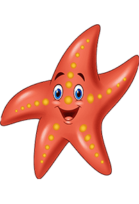 Starfish sm